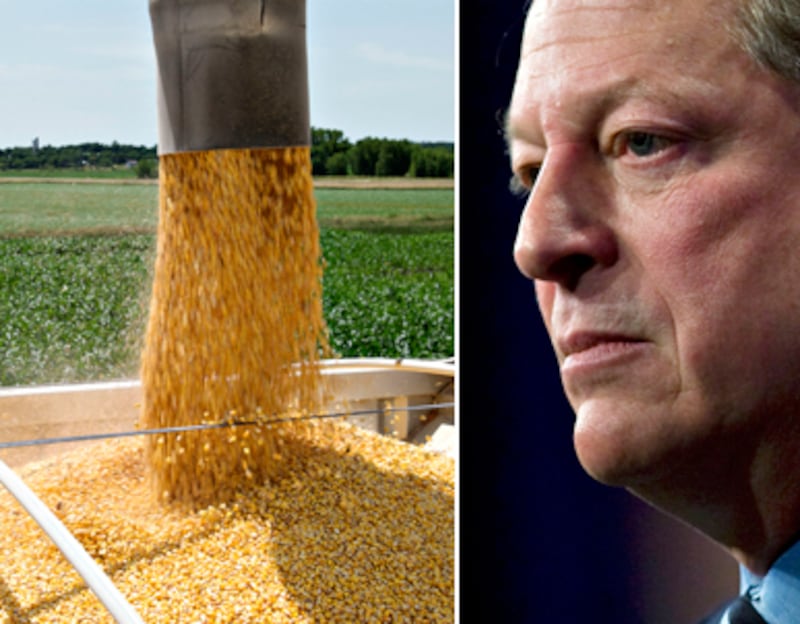 articles/2010/11/30/al-gores-alcohol-problem-admits-ethanol-subsidies-a-mistake/bryce-gore-ethanol_144439_pvmaan