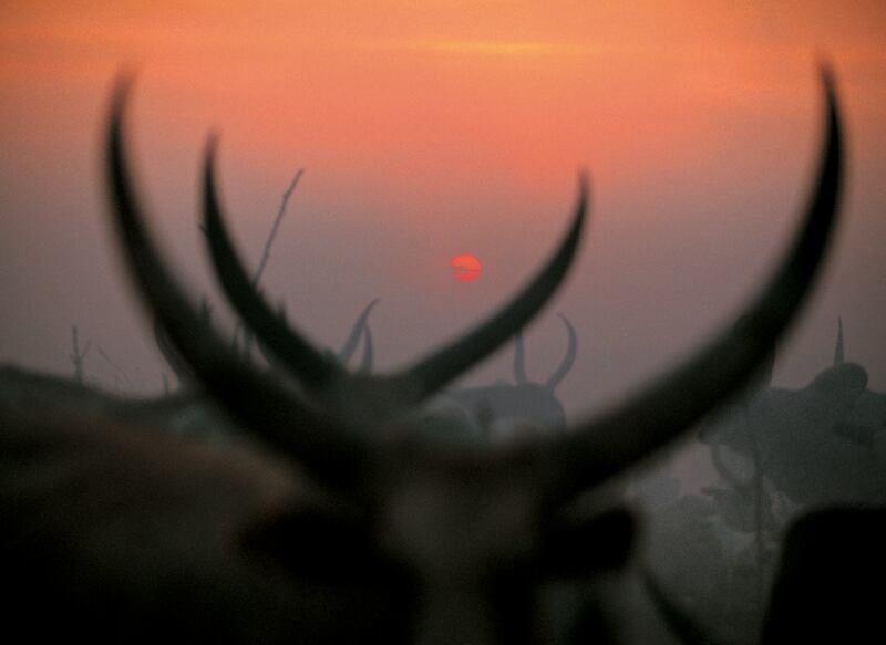 galleries/2010/10/19/dinka-legendary-cattle-keepers-of-sudan/dinka-3_hefigp