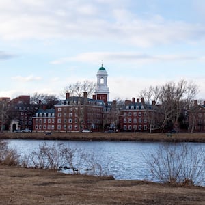 Harvard University interim president Alan Garber condemned an antisemitic cartoon shared by two pro-Palestine university student groups and a faculty organization. 