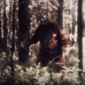 210418-schager-sasquatch-tease_copy_pls7qz