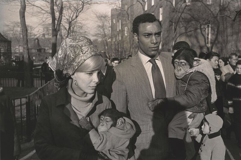 galleries/2014/06/27/garry-winogrand-retrospective-at-the-met-photos/garry-winogrand-ny-1967a_ae3jcx