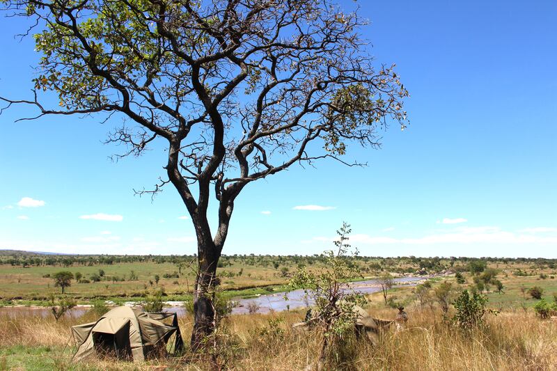 articles/2013/07/09/walking-with-wildebeests-exploring-the-serengeti-on-foot/130707-Eade-Serengeti-tease_tstrcz