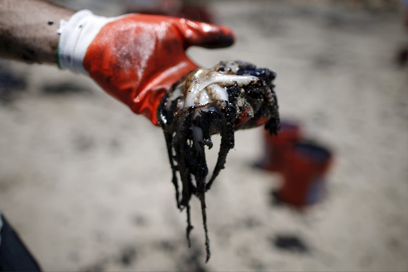 galleries/2015/05/21/california-oil-spill-photos/150521-oil-spill3_htuvye