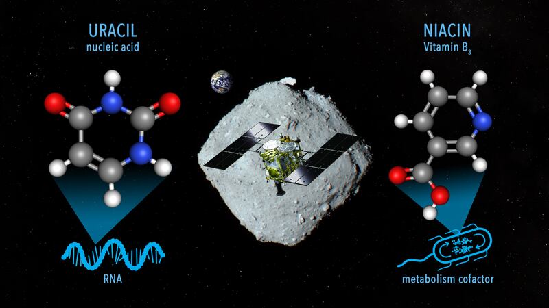 230321-Patel-RNA-Ryugu-embed-03_d9wqyt