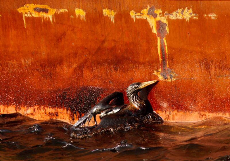 galleries/2010/05/26/shocking-oil-spill-scenes/dramatic-oil-spill---2_nj8q0b