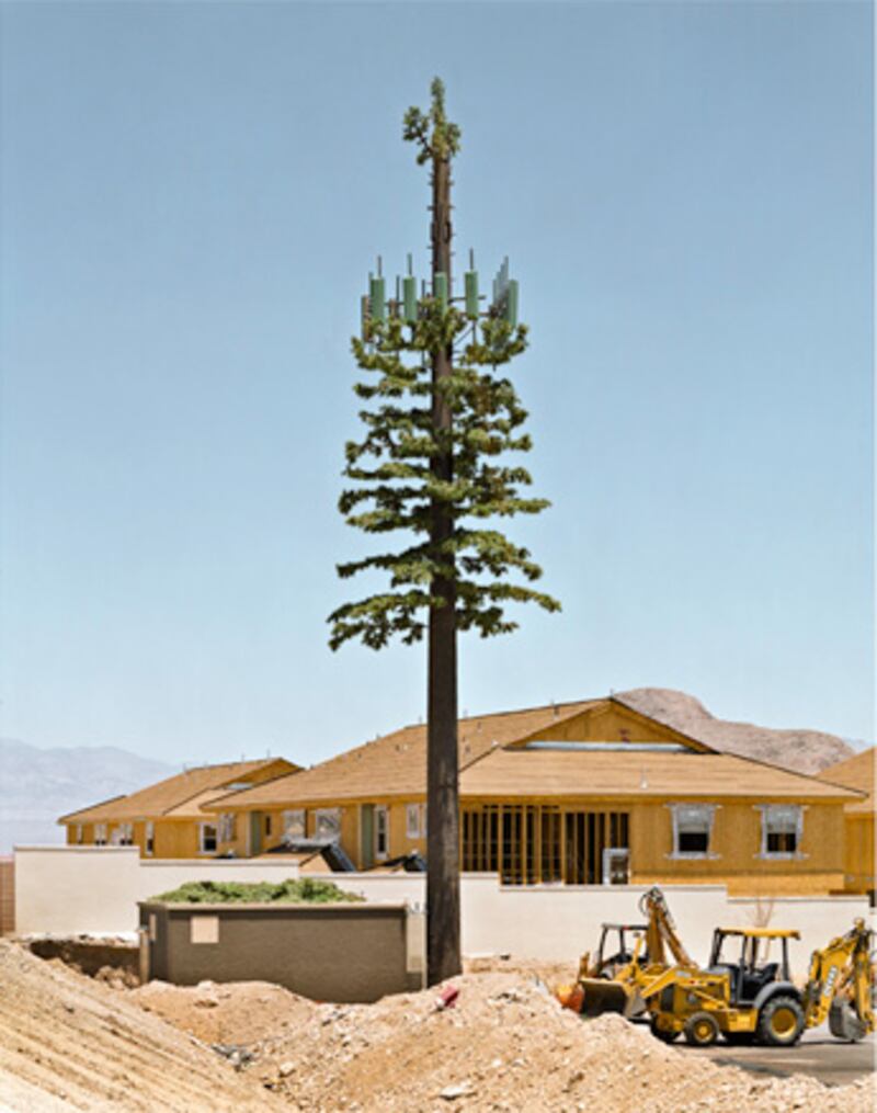 galleries/2010/01/07/robert-voit-this-is-not-a-tree/robert-voit-16_lfgvr9