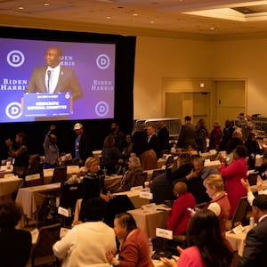 Members of the Democratic National Committee.