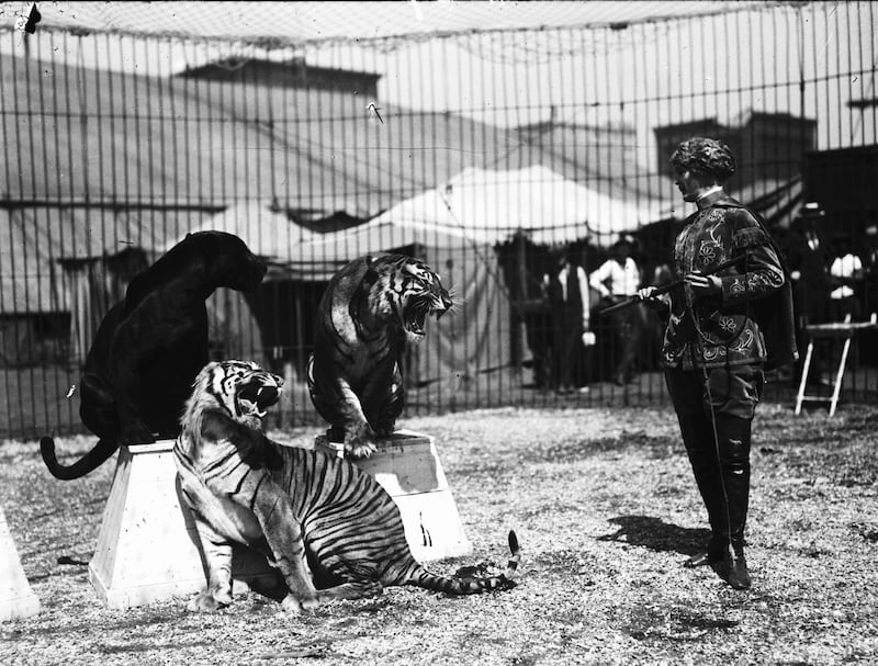 galleries/2012/10/21/the-american-circus-chronicles-the-big-top-s-glory-days-photos/the-american-circus-tiger-tamer_nxqqke