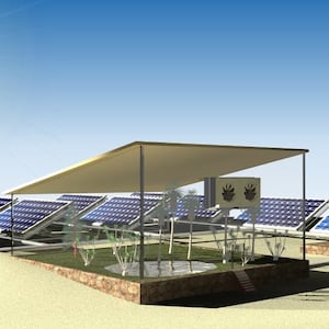 Solar panel system sitting atop a clear box containing growing plants 