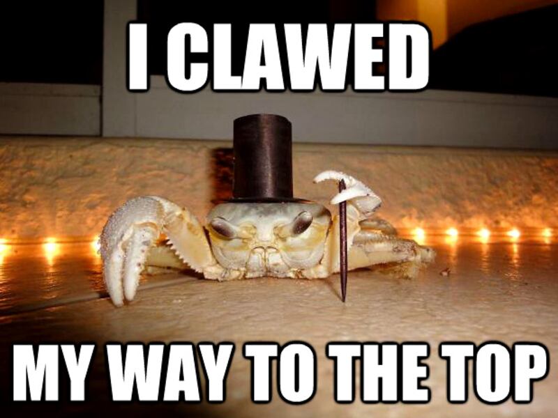 galleries/2011/10/22/the-week-s-best-internet-memes/04-meme-gallery-FANCY-CRAB-_qs7nsv