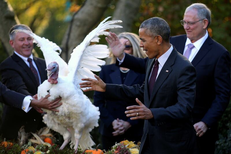 galleries/2012/11/21/barack-obama-bill-cinton-more-presidential-turkey-pardons-photos/161123-turkey-pardon_hgui0z