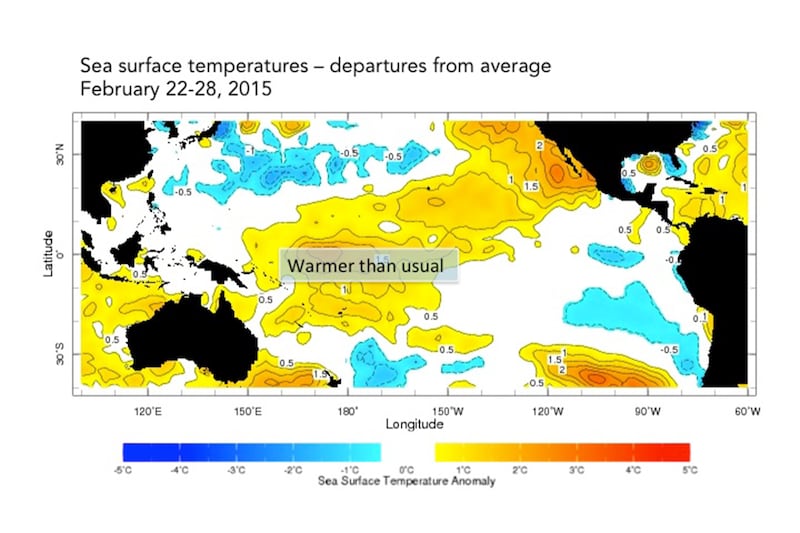 articles/2015/03/05/el-ni-o-is-officially-back/150305-gawthrop-el-nino-embed2_w4ngdg