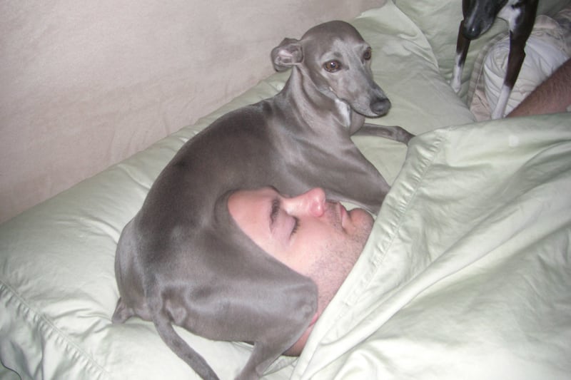 galleries/2011/11/05/awkward-family-pet-photos/awkward-family-pet-photos-12_dpt5ij