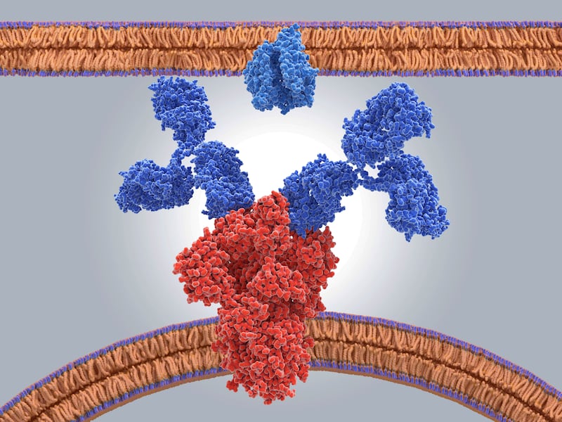 Antibodies-covid-19_mnykoq