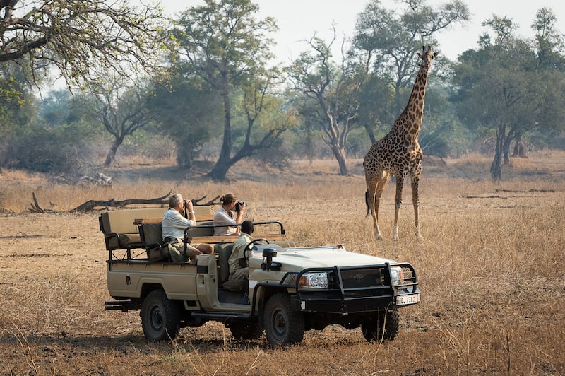 190714-kemper-zambia-safari-2_vzlnyz