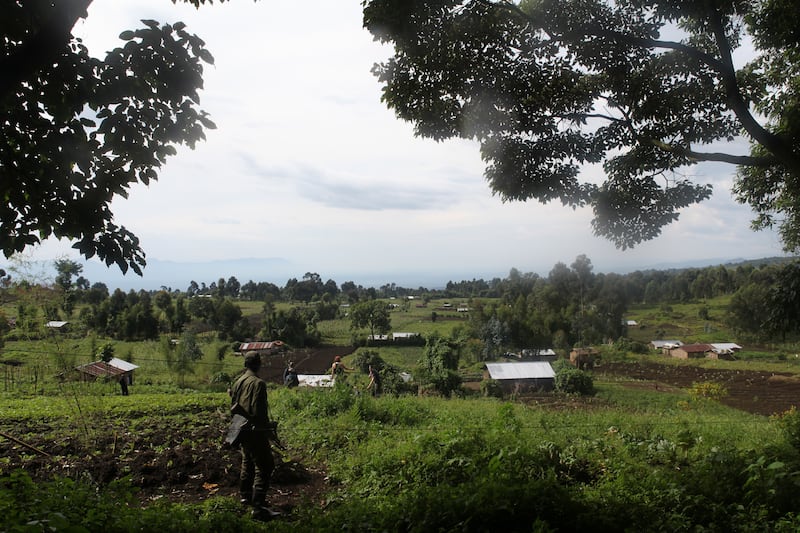 galleries/2014/04/25/the-battle-for-the-world-s-last-mountain-gorillas-photos/140425-virunga-park2_lmodzm