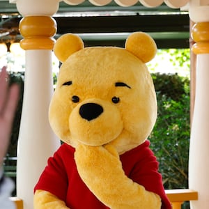 A photo of Winnie the Pooh