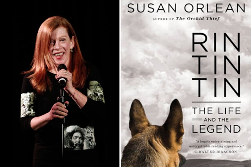 articles/2011/09/30/susan-orlean-interview-on-rin-tin-tin-the-new-yorker-more/susan-orlean-rin-tin_re622w