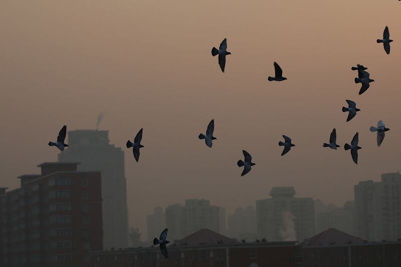 galleries/2014/02/27/smog-vortex-takes-over-beijing-photos/170104-china-smog-06_z6ymhp