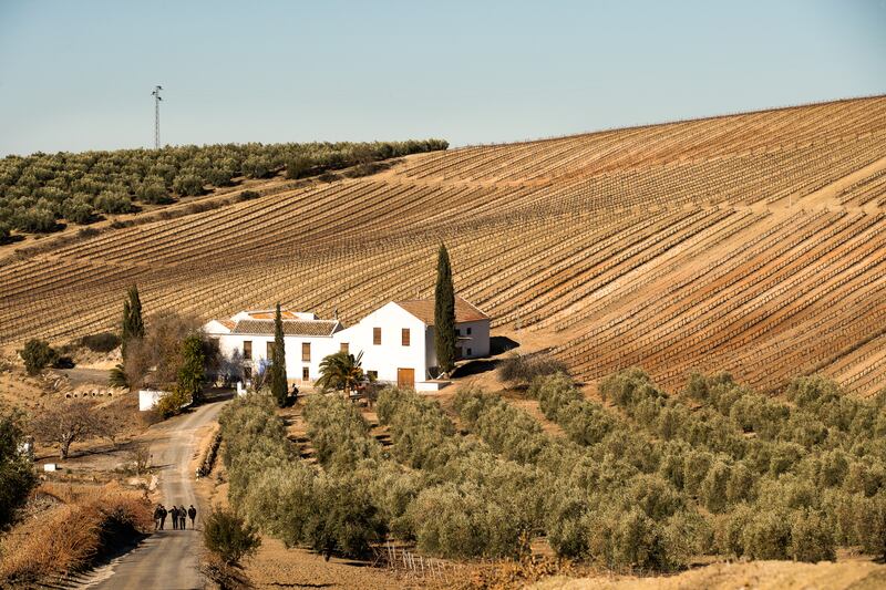 Westland_Distillery_Sherry_Andalucia_5_mquy3x