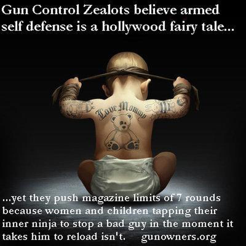 galleries/2013/01/17/the-best-pro-gun-memes-switzerland-baby-ninjas-more-photos/130116-twitter10-2560_lxzyp4