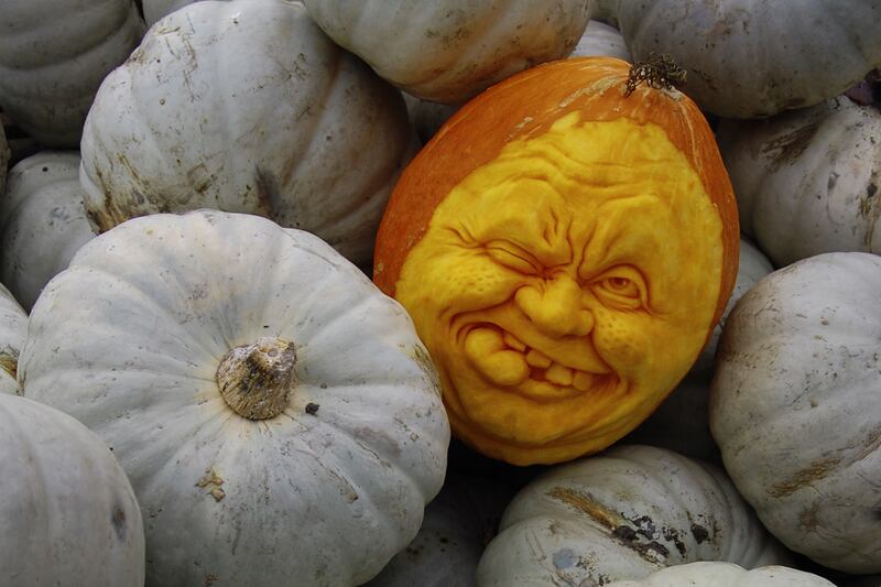 galleries/2011/10/28/amazing-pumpkin-carvings-photos/pumpkin-carvings-4_w4y9c0