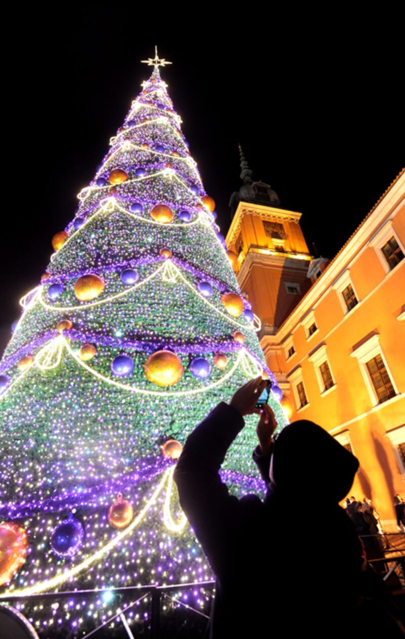 galleries/2011/12/23/spectacular-christmas-trees-photos/christmas-trees-poland_xhrh0c