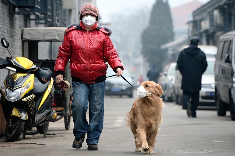 galleries/2014/02/27/smog-vortex-takes-over-beijing-photos/140226-china-smog1_r4vpg0