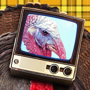 Turkey in a TV