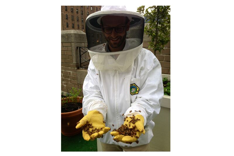 articles/2013/08/03/honey-harvest-at-the-waldorf-astoria-s-beehives/130802-dzieza-bees-embed_gek0uz