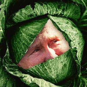 030223-cabbage-hero_s9zrjs