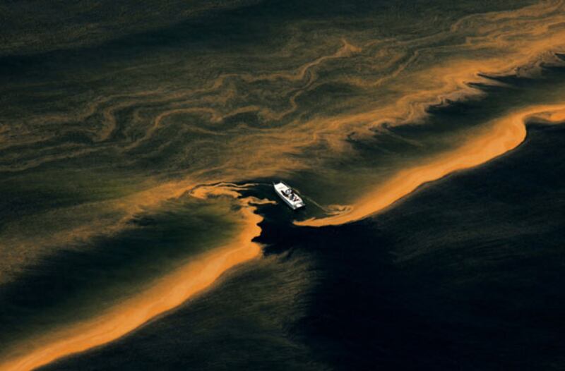 galleries/2010/05/26/shocking-oil-spill-scenes/oil-spill_wpyidp