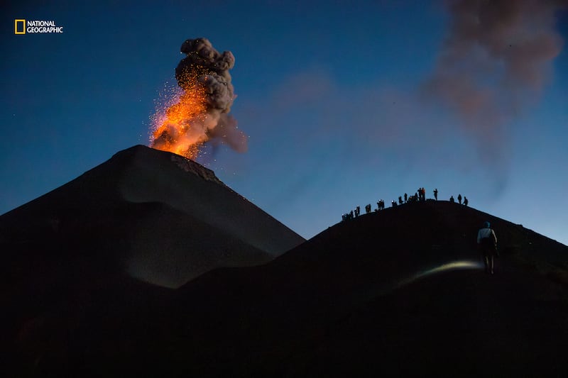 National Geographic best pictures of the year