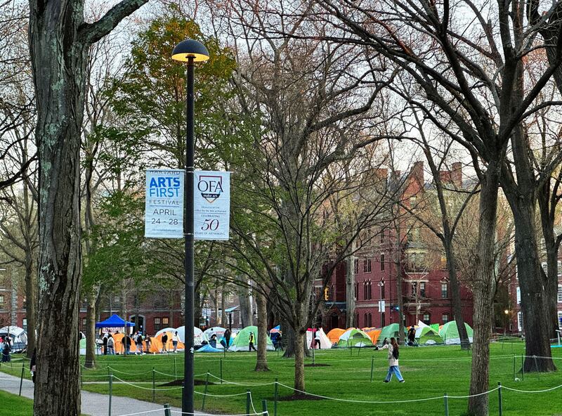 Harvard Gaza protest