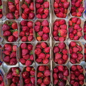 strawberries_kjewbx