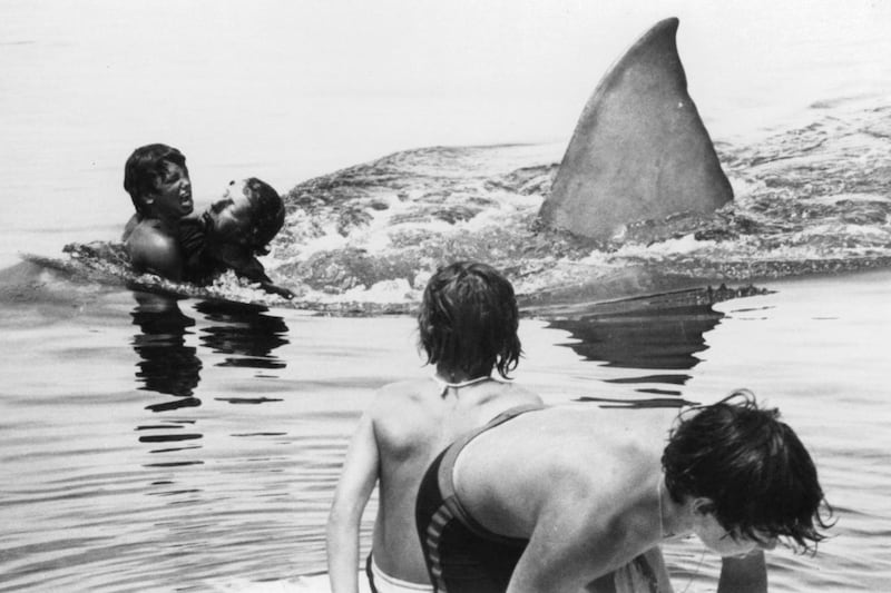 articles/2012/06/20/jaws-anniversary-newsweek-s-1975-review/jaws-anniversary-newsweek-review-cooper_ilj32g