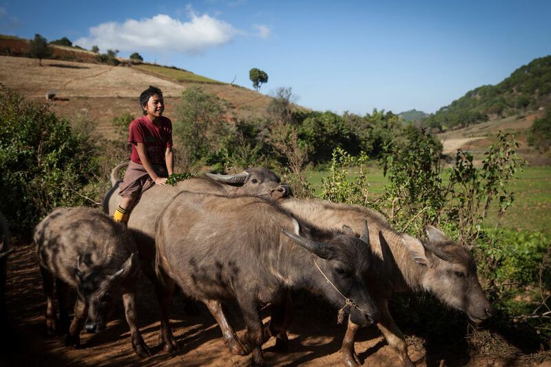 articles/2014/06/02/a-little-too-off-the-beaten-path-in-burma/140601-cengal-burma-embed1_s7csxm