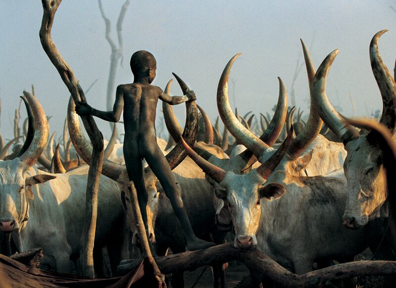 galleries/2010/10/19/dinka-legendary-cattle-keepers-of-sudan/dinka-2_dx02ed