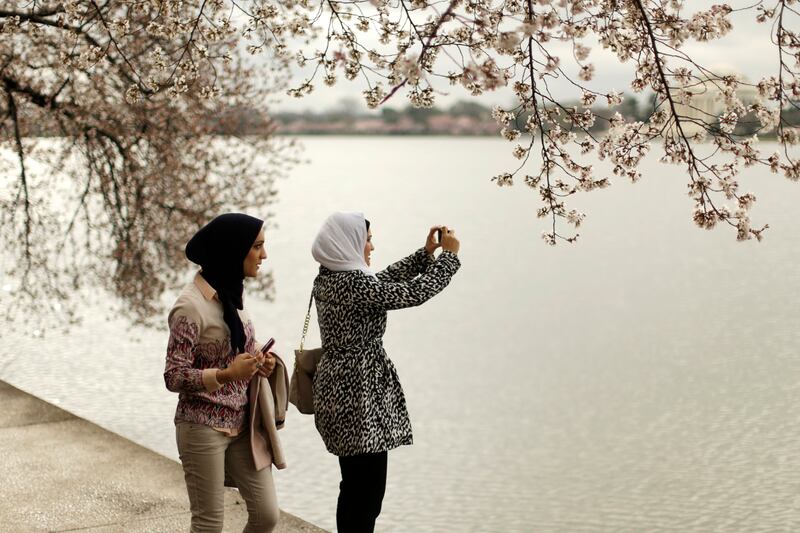 galleries/2014/04/10/now-it-s-really-spring-cherry-blossoms-are-at-their-peak-photos/140409-cherryb-5_b1wwwi