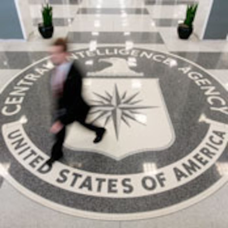 articles/2010/01/24/the-women-of-the-cia/wilson-women-cia_77105_gfffxl