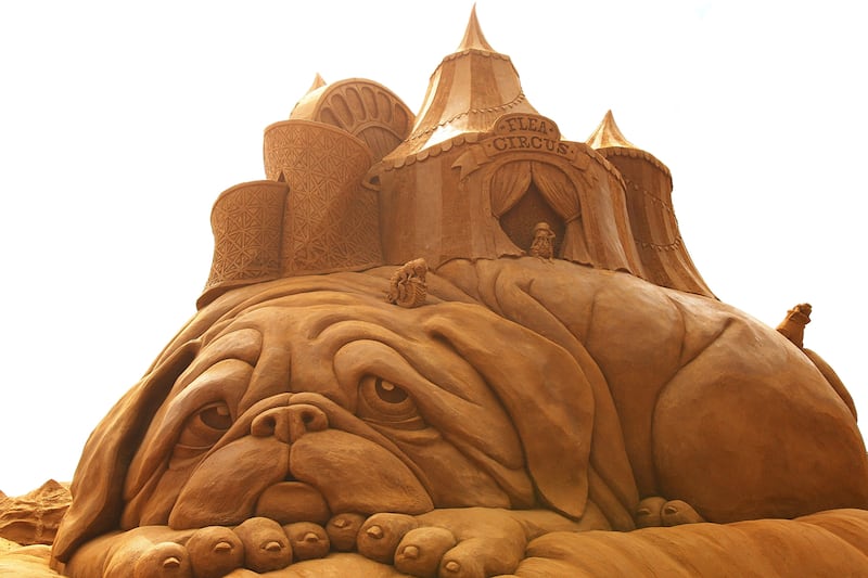 galleries/2011/07/16/most-amazing-sand-castle-photos/circus-most-amazing-sand-castles-photos_ylhgns