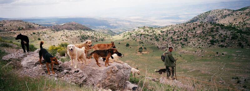 articles/2013/02/22/israeli-american-company-to-drill-for-oil-in-occupied-golan-heights/golan-panorama-openz_ho6kgw