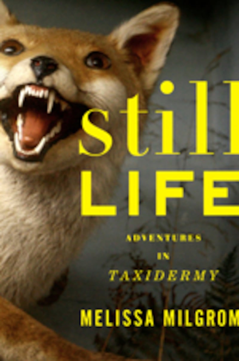 articles/2010/03/11/cool-dead-and-stuffed/book-cover---still-life_crjx8t