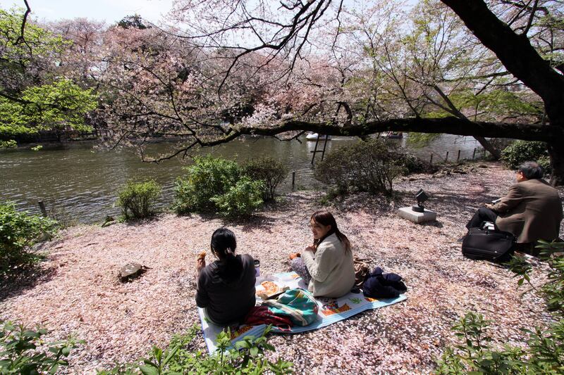 galleries/2013/04/11/spring-in-bloom-around-the-world/130410-spring-tokyo-01_fwoiku