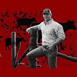 A photo illustration of Tim Sheehy with a grid and cattle illustrations.