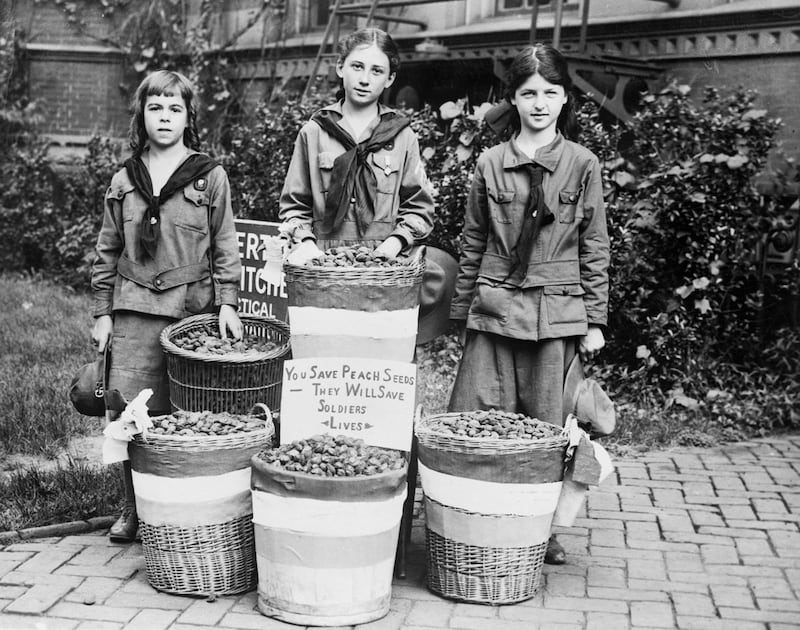 galleries/2012/03/12/100-years-of-girl-scouts-photos/girl-scouts-centennial-seeds_bbhx3v