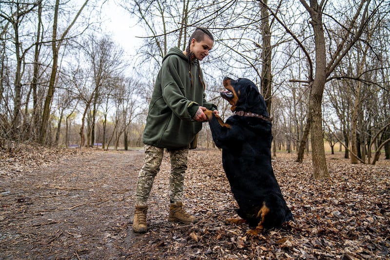 A photo of Ukrainian soldier Runa shaking hands with a dog.