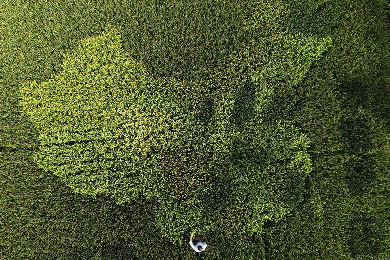 galleries/2016/04/16/these-pictures-of-china-from-above-are-stunning/160415-china-from-above-02_iu6xe6