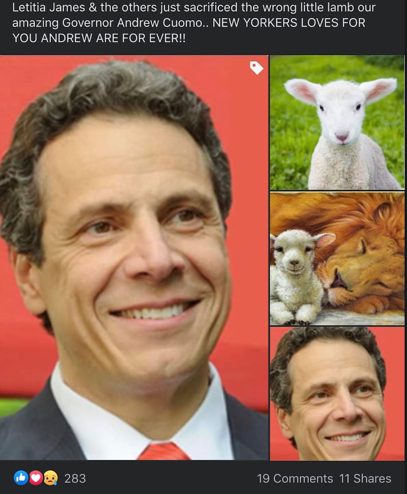 Cuomo_lambs_hmk4lc