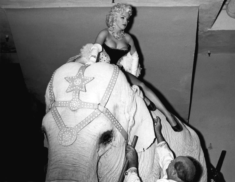 galleries/2012/10/21/the-american-circus-chronicles-the-big-top-s-glory-days-photos/the-american-circus-whoa-nellie-elephant_h1kos5